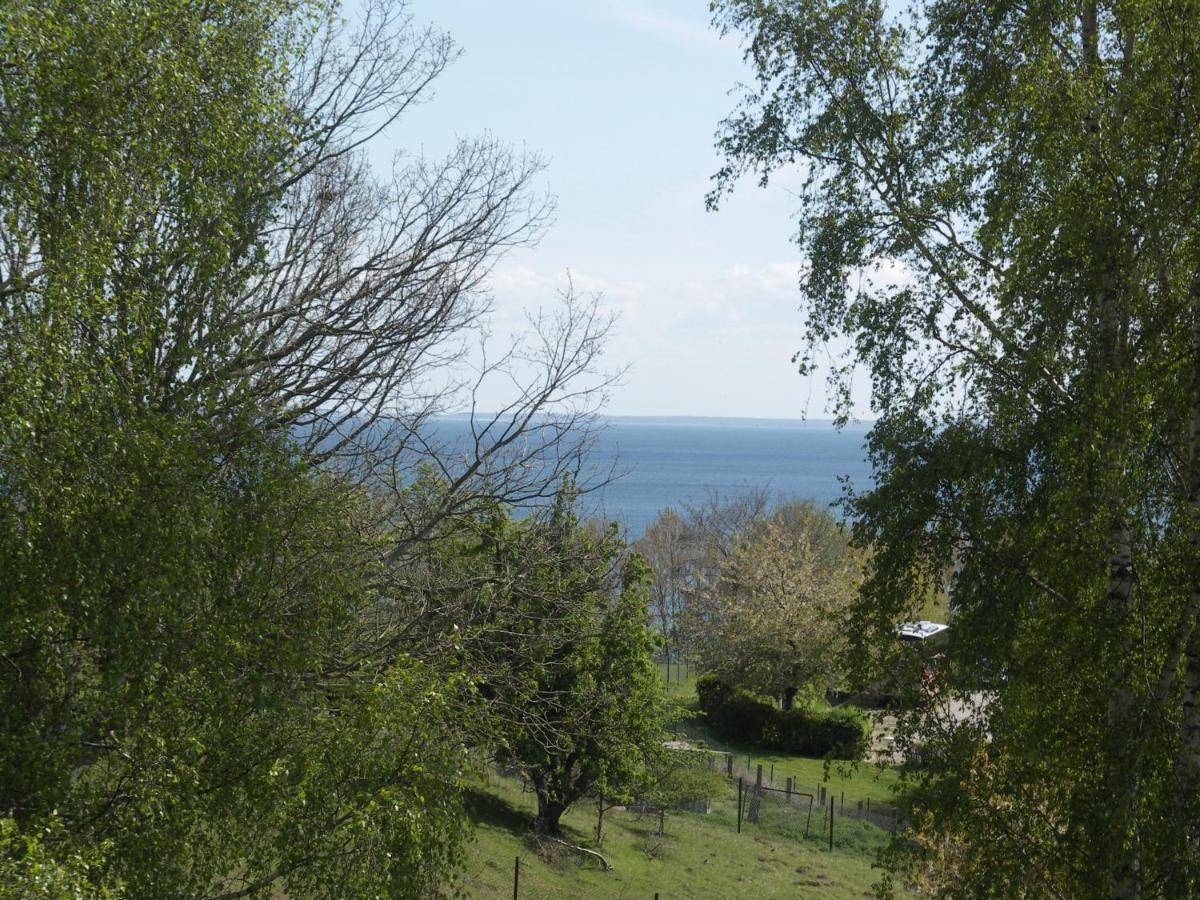 Apartment Traumblick Sellin: Spacious Beachside With Pool And Sauna *