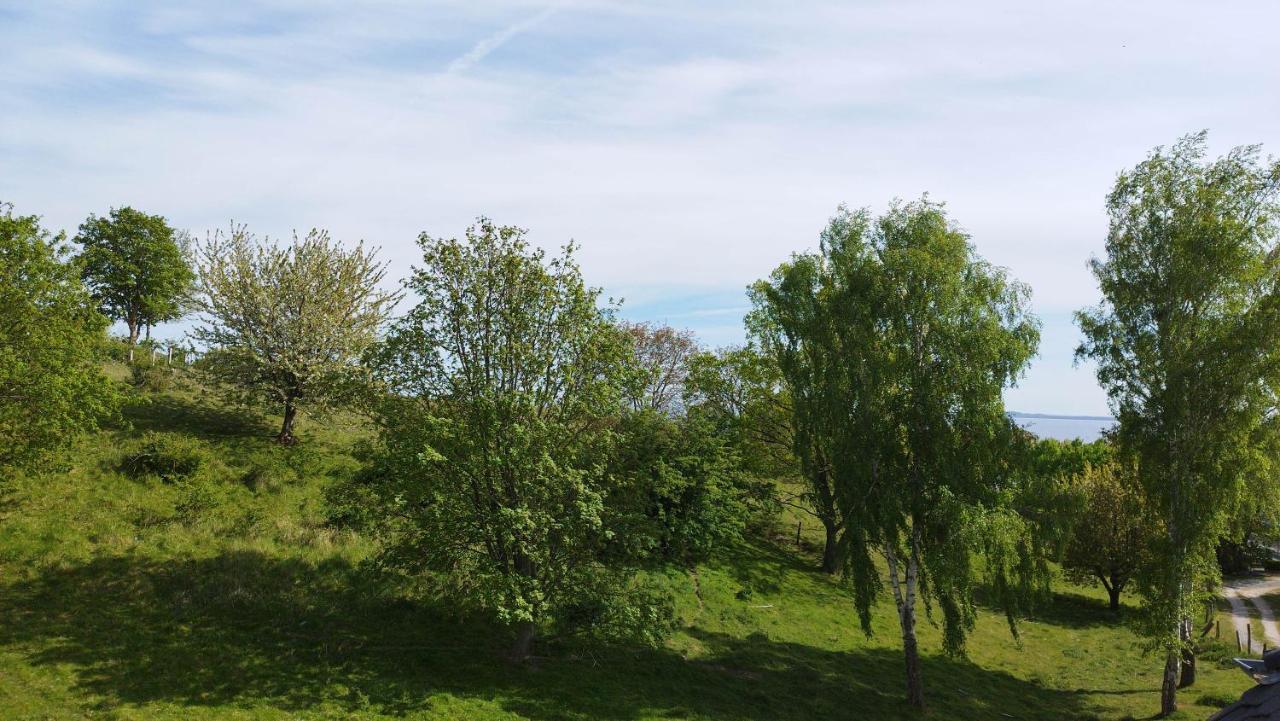 Traumblick Sellin: Spacious Beachside With Pool And Sauna Apartment