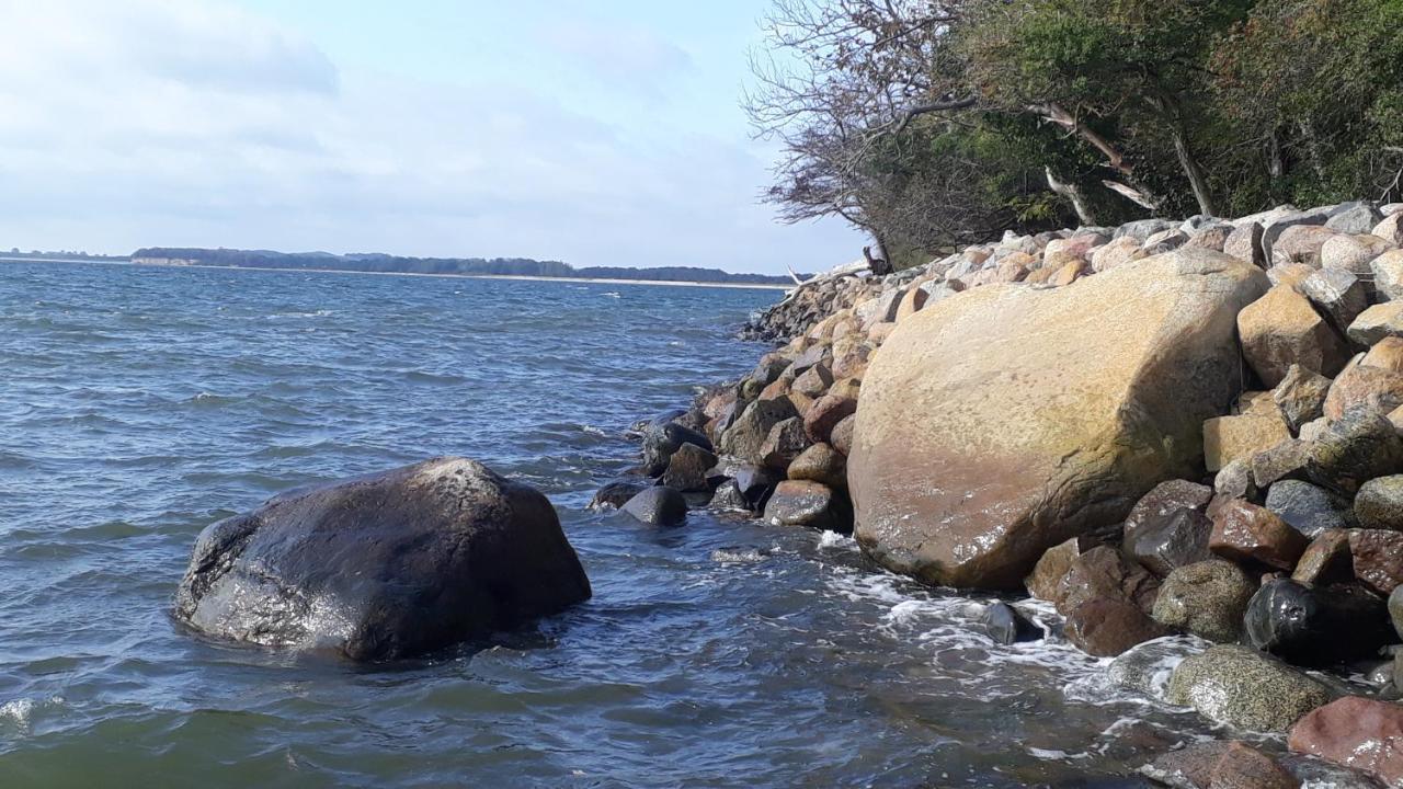 Traumblick Sellin: Spacious Beachside With Pool And Sauna Apartment