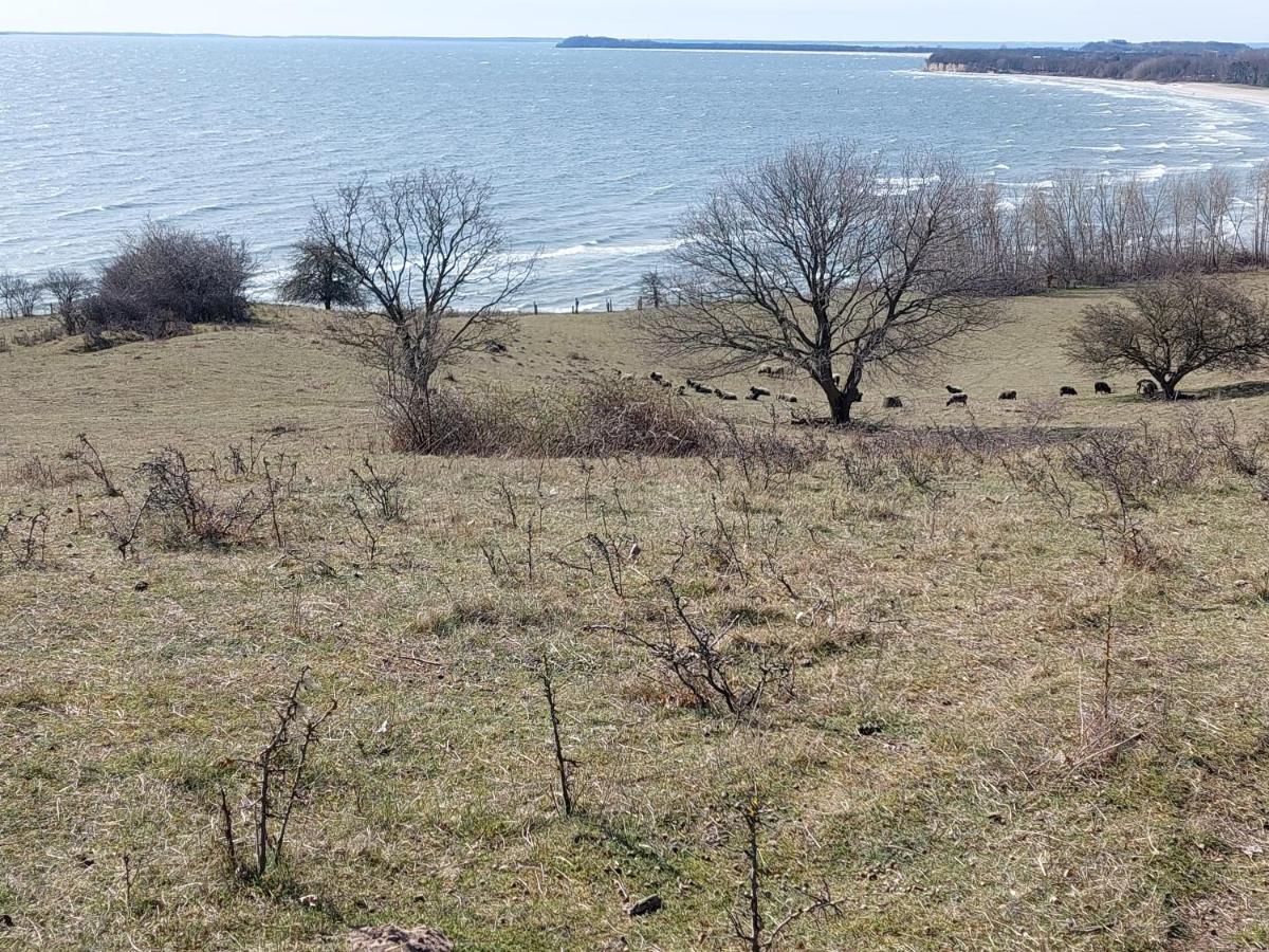 Traumblick Sellin: Spacious Beachside With Pool And Sauna Apartment *