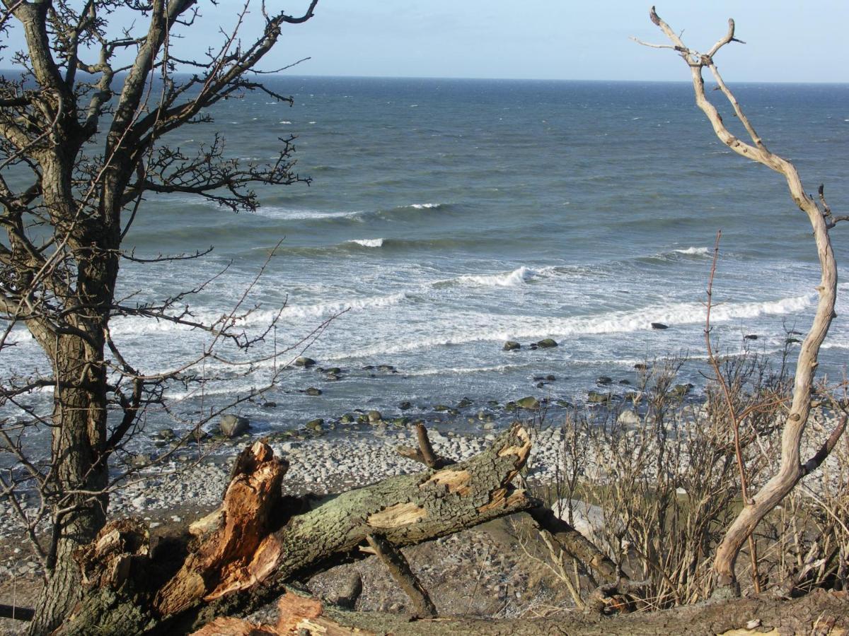 Apartment Traumblick Sellin: Spacious Beachside With Pool And Sauna Goehren (Ruegen)