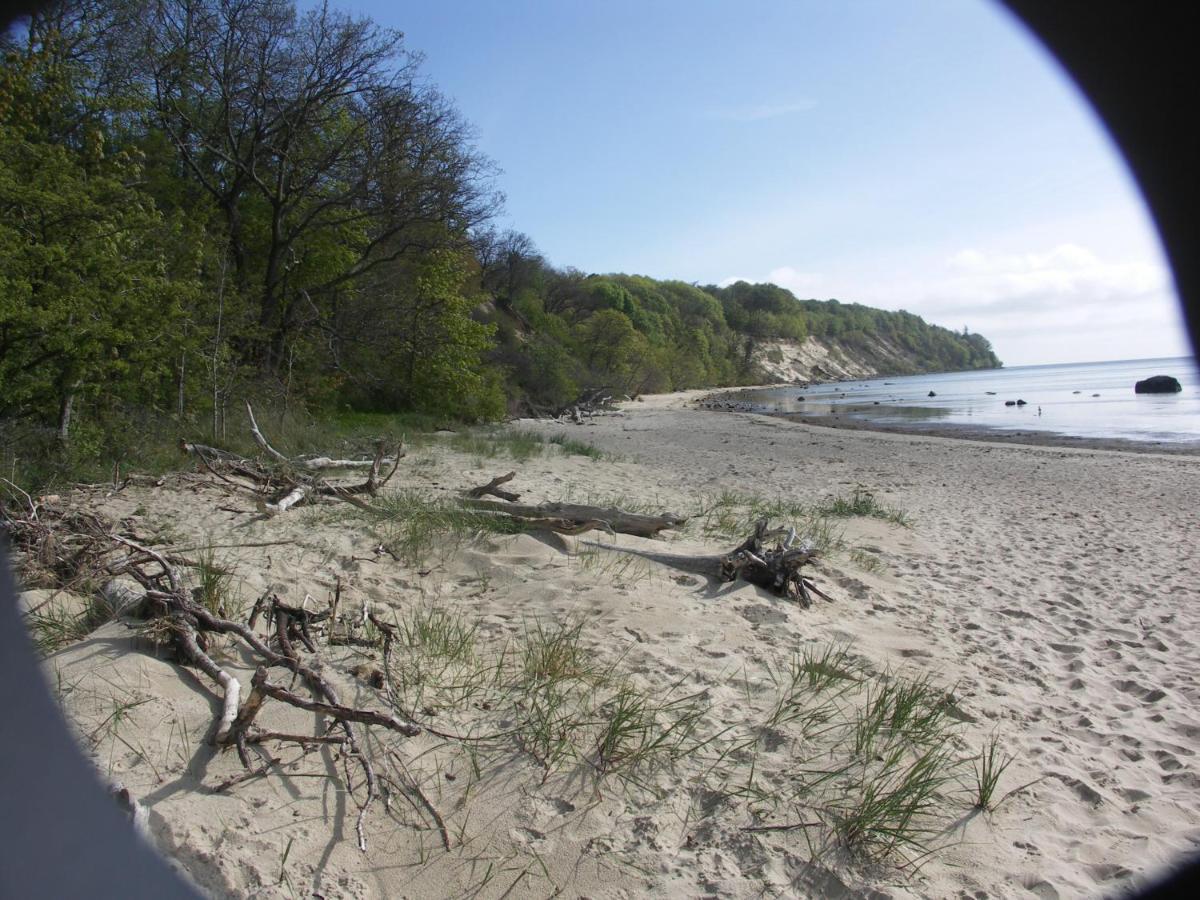 Apartment Traumblick Sellin: Spacious Beachside With Pool And Sauna