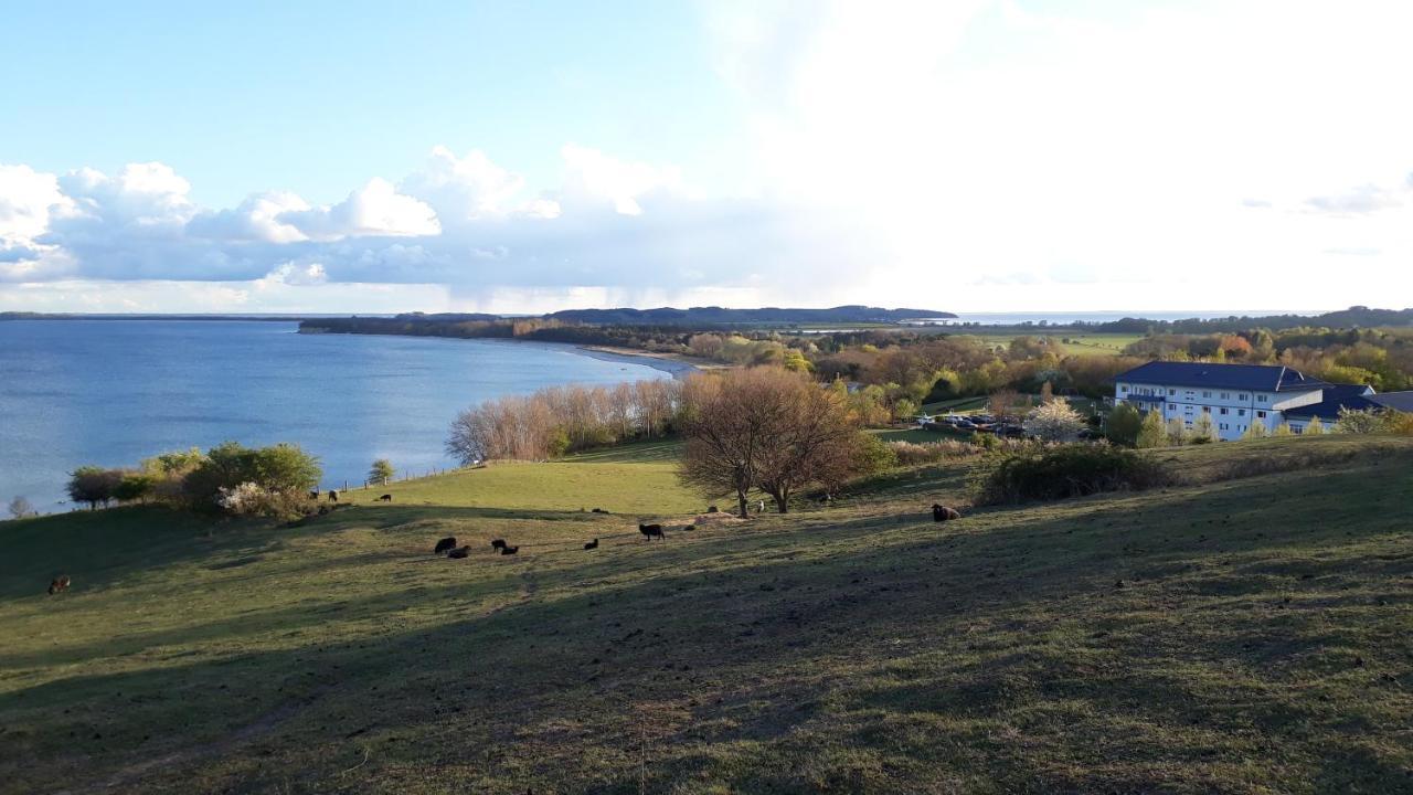 Traumblick Sellin: Spacious Beachside With Pool And Sauna