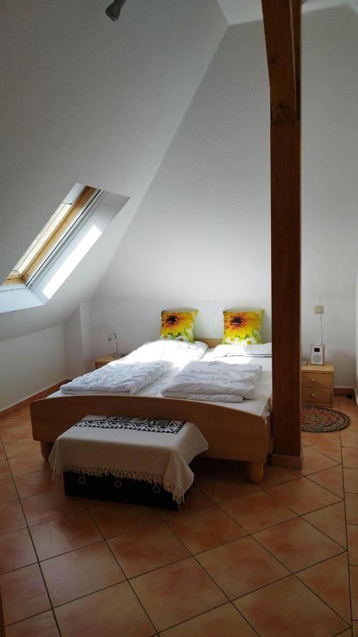 Traumblick Sellin: Spacious Beachside With Pool And Sauna *