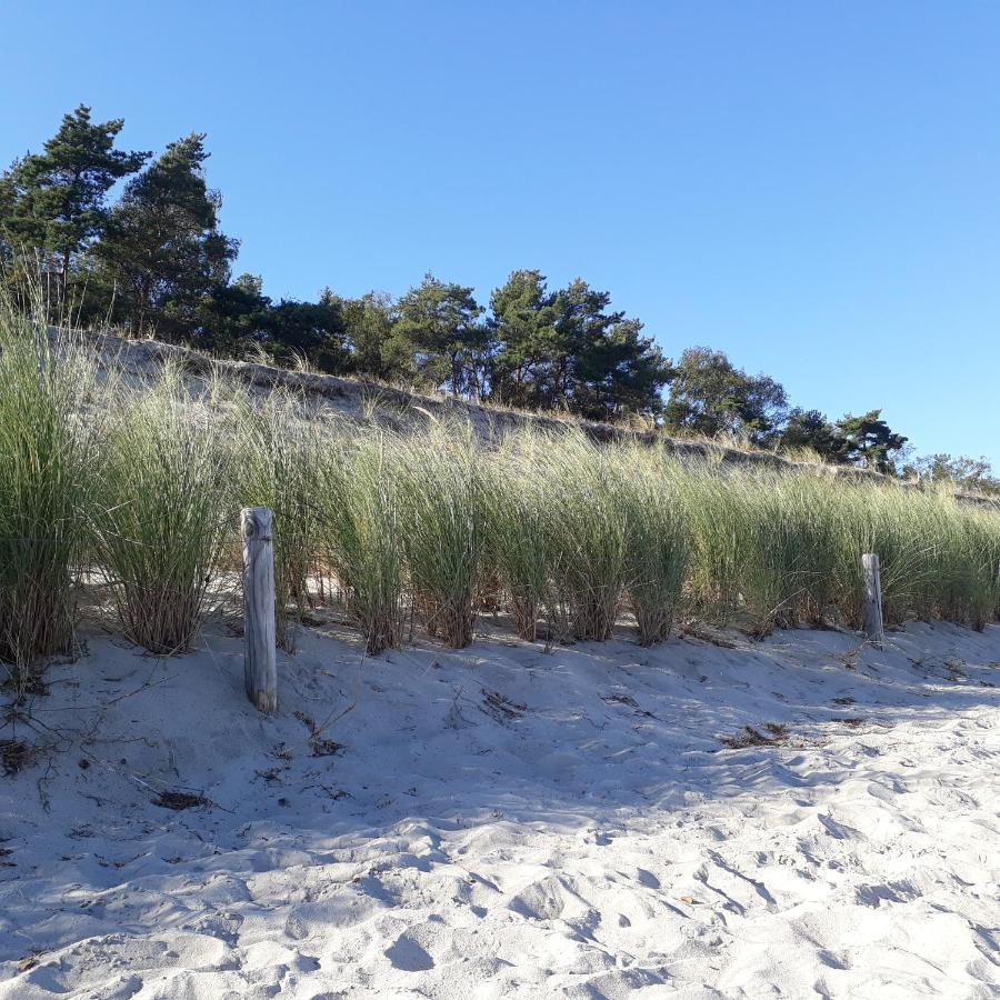 Traumblick Sellin: Spacious Beachside With Pool And Sauna Apartment *