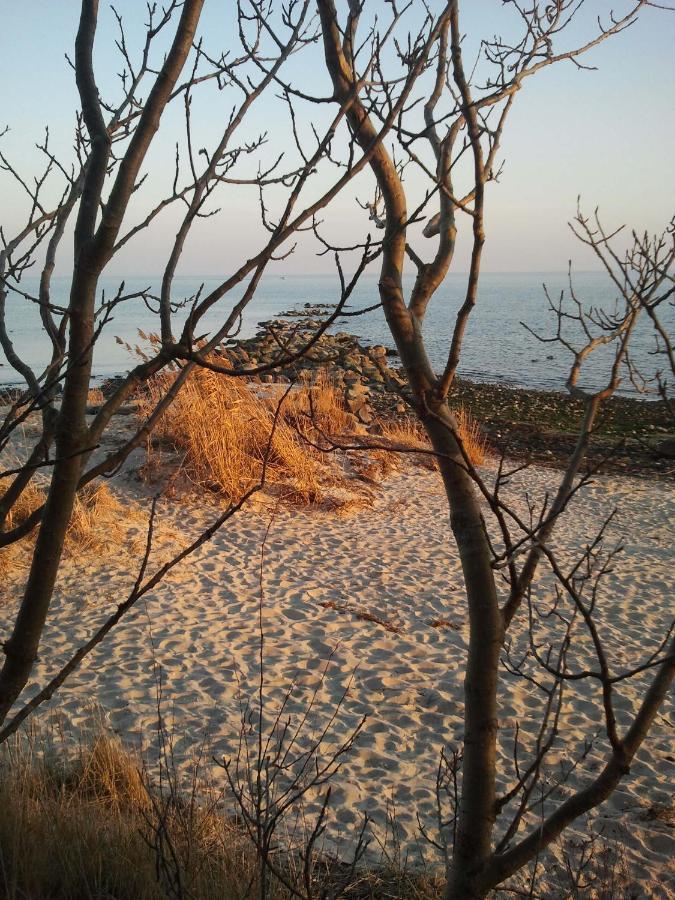 Traumblick Sellin: Spacious Beachside With Pool And Sauna Apartment