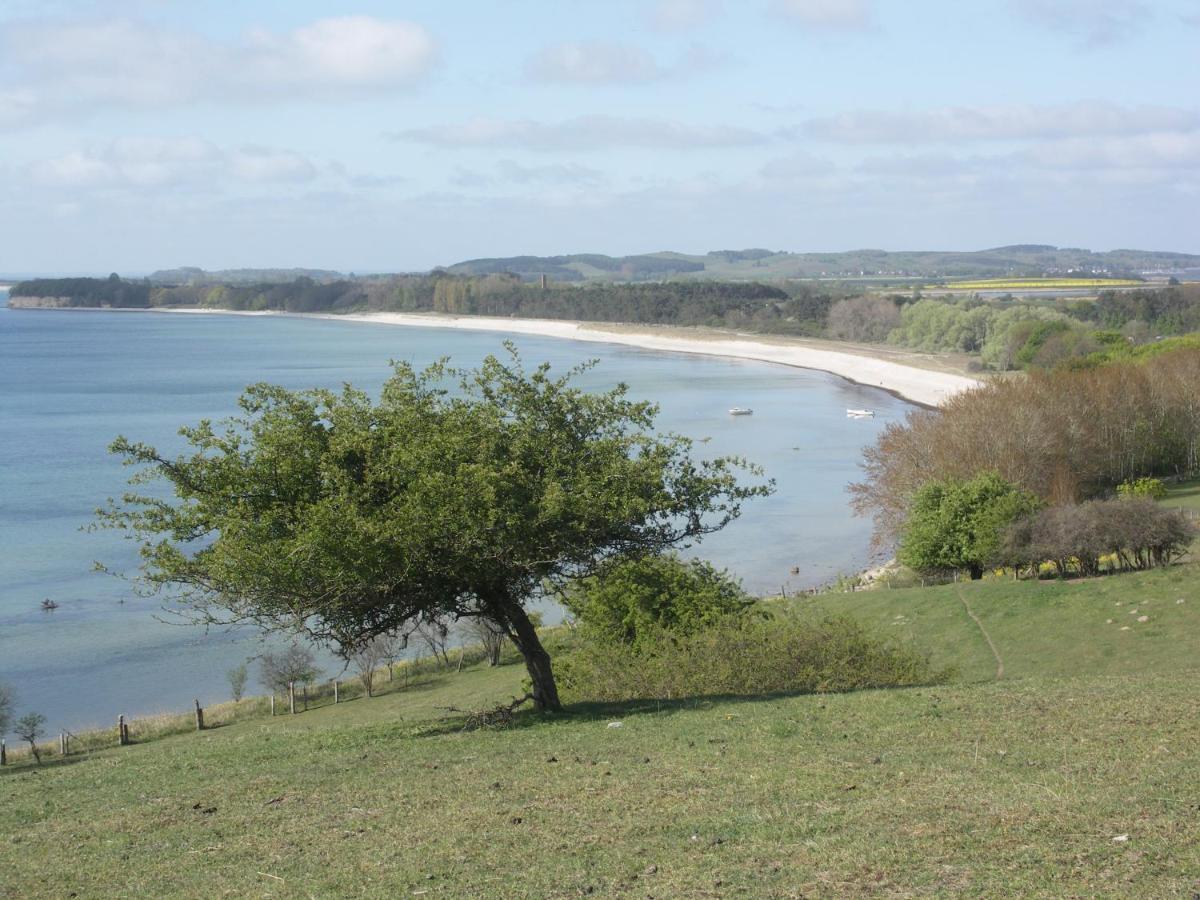 Traumblick Sellin: Spacious Beachside With Pool And Sauna Apartment