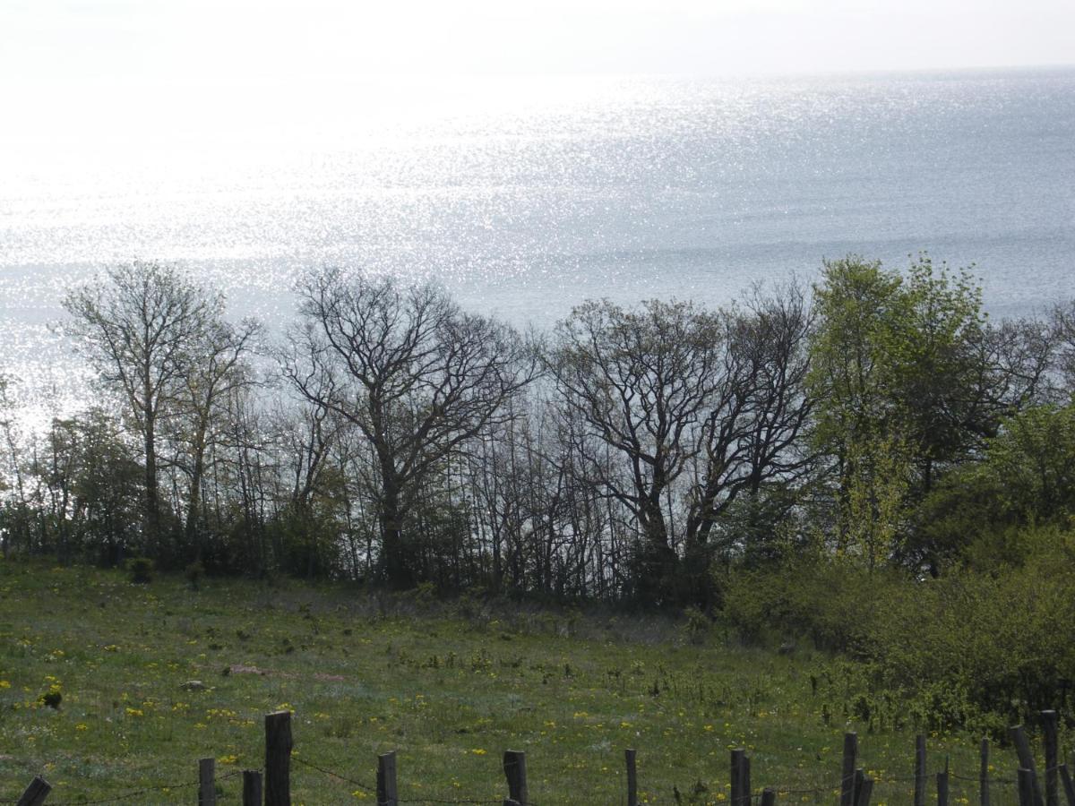 Apartment Traumblick Sellin: Spacious Beachside With Pool And Sauna Goehren (Ruegen)