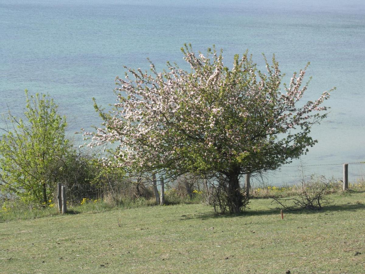 Apartment Traumblick Sellin: Spacious Beachside With Pool And Sauna